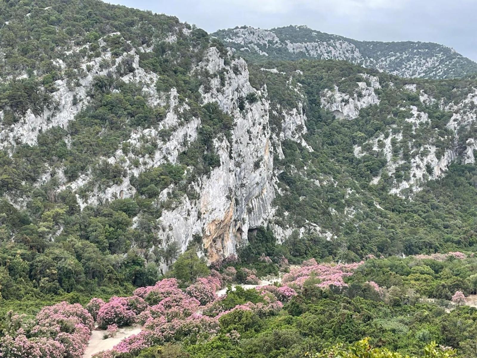 Sa Troppa De Sos Chentu Hotel Dorgali Kültér fotó